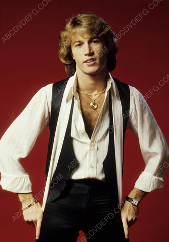 Andy Gibb portrait 8b20-6536