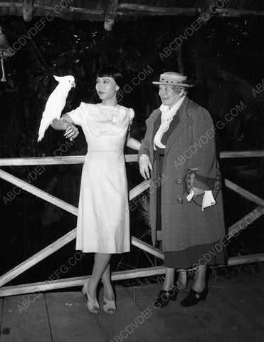 animal lover Anna May Wong and a cockatoo bird 8b20-6596