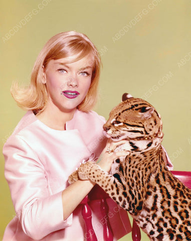 beautiful Anne Francis and a leopard 8b20-6669