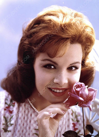 Annette Funicello and a rose portrait 8b20-6745