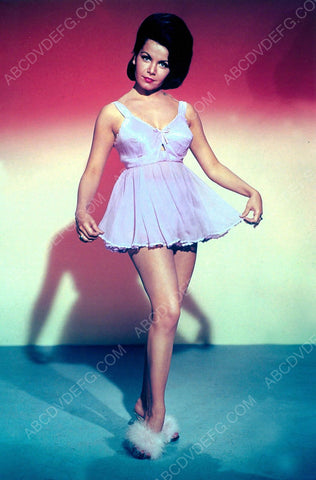 Annette Funicello in short nightie and fuzzy slippers 8b20-6768