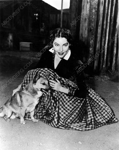 Ava Gardner loves her dog 8b20-6814