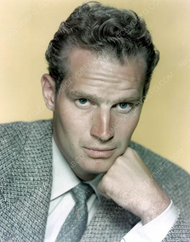 handsome Charlton Heston portrait 8b20-7037