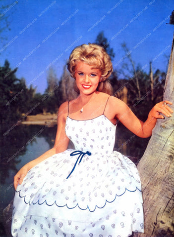 Connie Stevens outdoors pic 8b20-7137