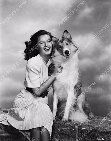 Barbara Stanwyck poses with Lassie maybe 8b20-7246