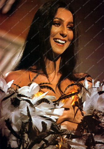 Cher portrait 8b20-7309