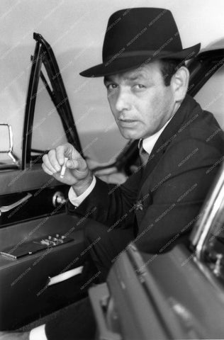 cool David Janssen portrait 8b20-7429