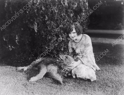 Clara Bow playing with her dog 8b20-7628