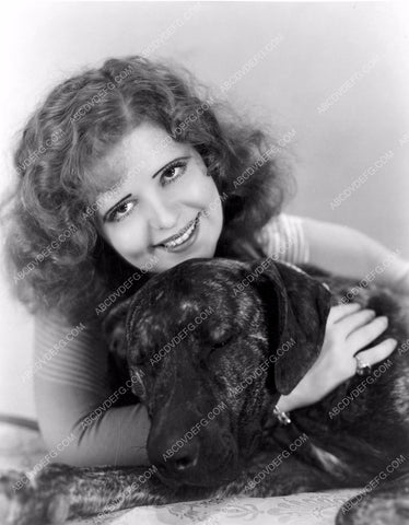 beautiful Clara Bow and her dog portrait 8b20-7655