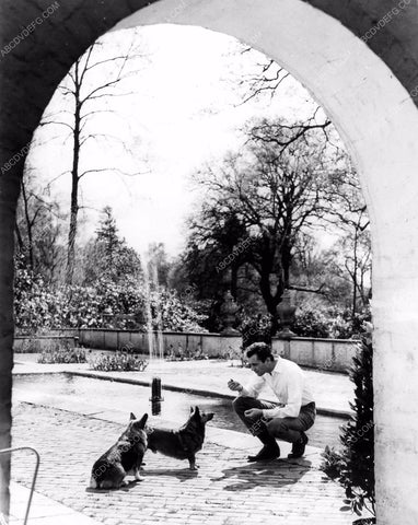 Dirk Bogarde playing with his dogs 8b20-7855