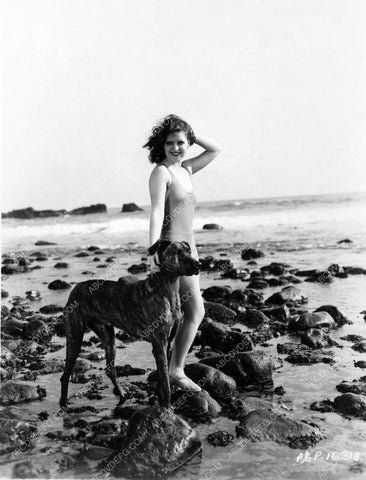 Clara Bow takes her dog to the beach 8b20-8365