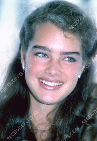 Brooke Shields portrait 8b20-8435