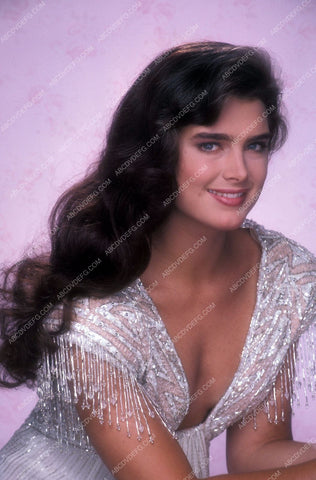 gorgeous Brooke Shields portrait 8b20-8460