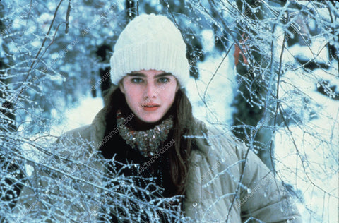 Brooke Shields out in the cold 8b20-8463
