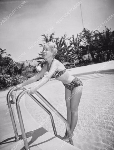 sexy Barbara Eden in leopard bikini poolside dp-8597
