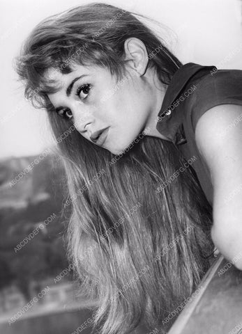 gorgeous Brigitte Bardot portrait 8b20-8604