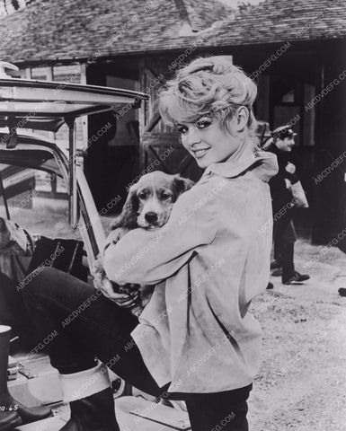 gorgeous Brigitte Bardot and her dog 8b20-8620