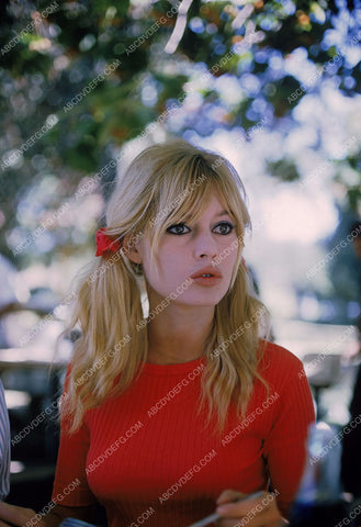 beautiful Brigitte Bardot in pigtails 8b20-8629