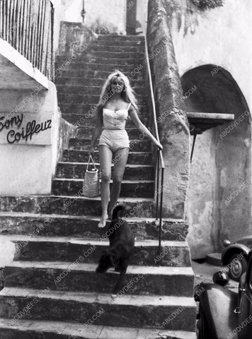 Brigitte Bardot and her dog head for the beach 8b20-8646