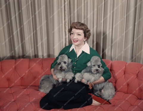 beautiful Claudette Colbert at home with her dogs 8b20-8838
