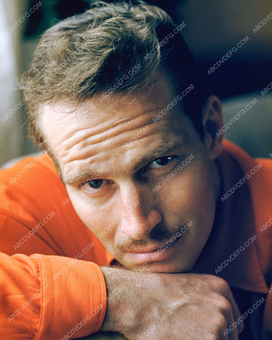 handsome Charlton Heston portrait 8b20-9056