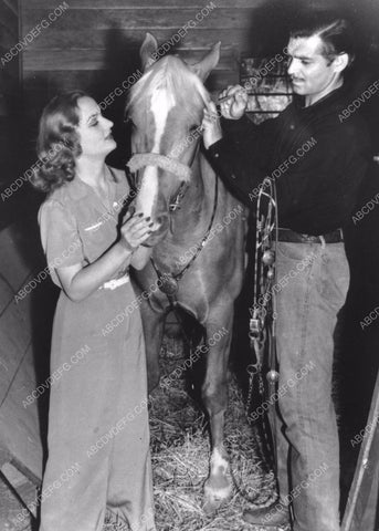 candid Carole Lombard Clark Gable tend to their horses 8b20-9177