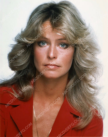 beautiful Farrah Fawcett portrait 8b20-9538