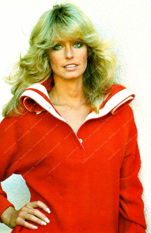 Farrah Fawcett portrait 8b20-9549