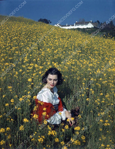 Faith Domergue in a field of flowers 8b20-9733