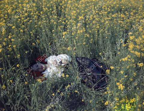 Faith Domergue in a field of flowers 8b20-9740