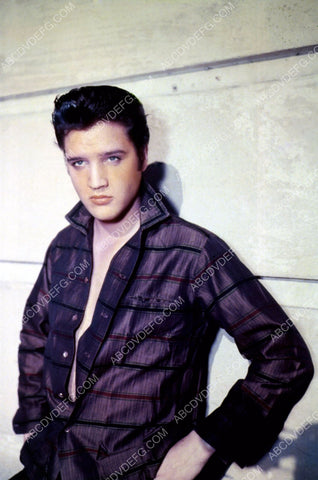 Elvis Presley portrait 8b20-9802