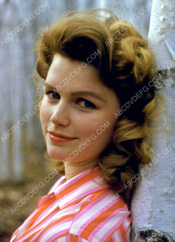 gorgeous Lee Remick outdoors portrait 8b20-9902