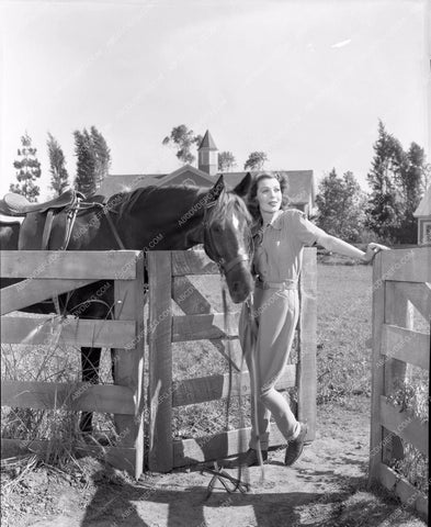 Loretta Young and horse lyoung-07