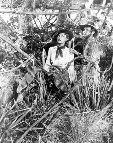 crp-10185 1955 Karin Booth, Ross Elliott film African Manhunt crp-10185