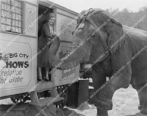 crp-10763 1931 lady and giant elephant circus film Side Show crp-10763