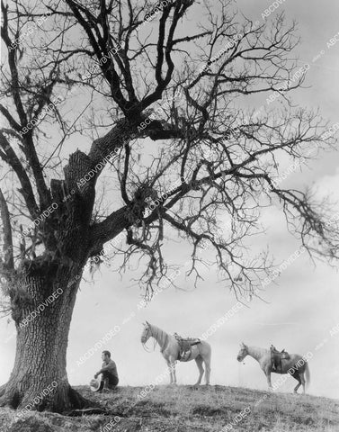 crp-10860 1930 Johnny Mack Brown picturesque w horse under tree film Montana Moon crp-10860