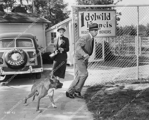 crp-11083 1951 Dick Powell and a fine boxer dog, Joyce Holden film You Never Can Tell crp-11083