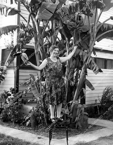 crp-11827 1930's local Los Angeles woman grows some semi giant tree specimen in front yard crp-11827