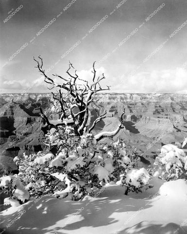 crp-12068 1955 scenic nature snow covered at Christmas time Grand Canyon National Park crp-12068