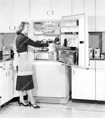 crp-12131 1959 14 cubic ft refrigerator freezer latest in home ec kitchen by Philco w pretty model crp-12131