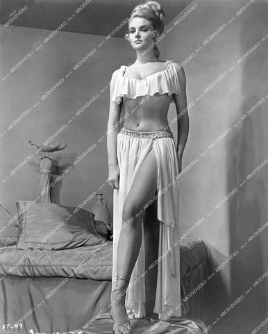crp-12160 1966 statuesque w sexy long legs Inga Neilsen portrait film A Funny Thing Happened on the Way to Forum crp-12160