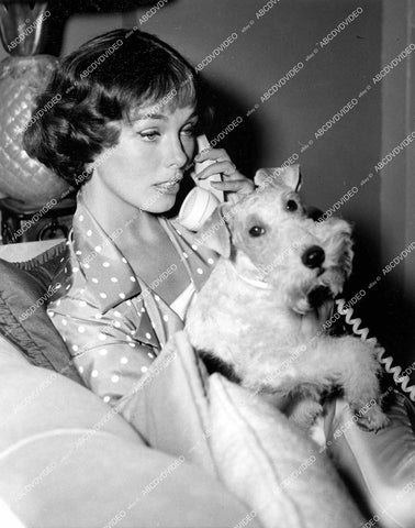 crp-12375 1957 Hollywood film animals Asta the dog & Phyllis Kirk on telephone TV The Thin Man crp-12375