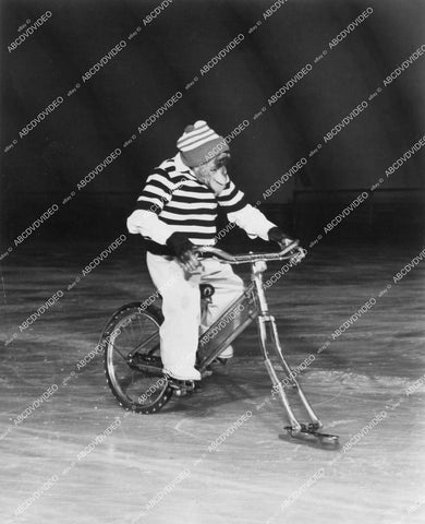crp-12408 1950's chimp riding bicycle on ice Marquis Chimps crp-12408