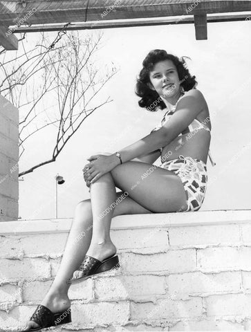 crp-12423 1950's news sexy Gene Gaute in her new bikini sitting on a wall crp-12423