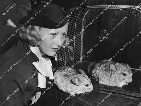 crp-13308 1935 news photo Evalyn Knapp w her breeding chinchillas at Inglewood Fur Show crp-13308