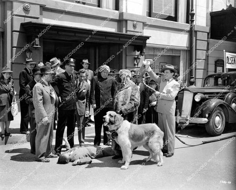 crp-14285 1945 Ole Olsen, Chic Johnson and st bernard dog film See My Lawyer crp-14285