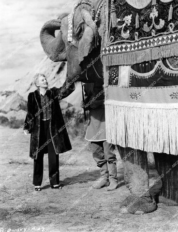 crp-14410 1945 Evelyn Keyes and elephant on location film A Thousand and One Nights crp-14410
