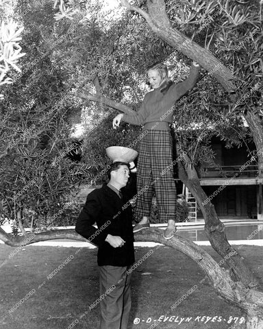 crp-14537 1947 Evelyn Keyes & John Huston picking their olive tree crp-14537
