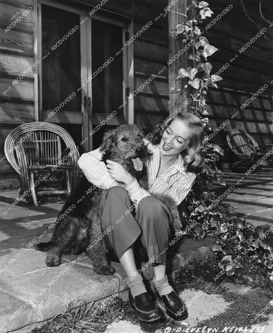 crp-14542 1947 Evelyn Keyes w the dogs in backyard at home crp-14542