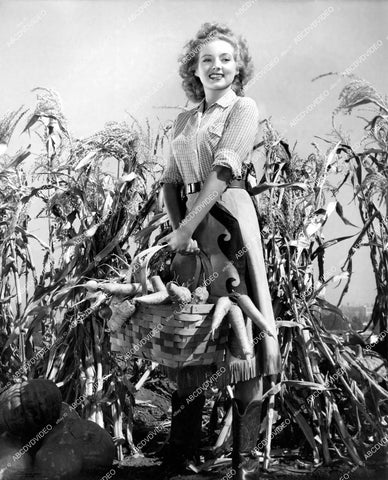 crp-14564 1943 beautiful Evelyn Keyes working in her pumpkin patch & vegetable garden crp-14564